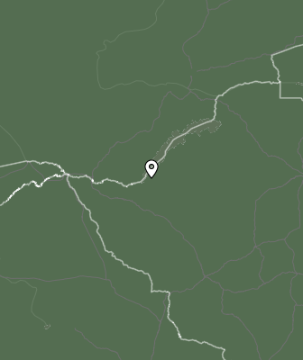 Niederschlagsprognose