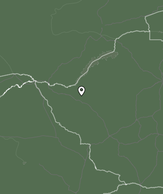 Niederschlagsprognose