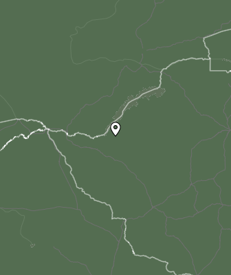 Niederschlagsprognose