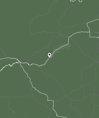 Niederschlagsprognose