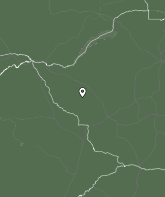 Niederschlagsprognose