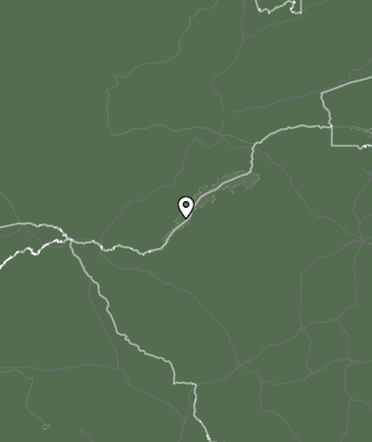 Niederschlagsprognose