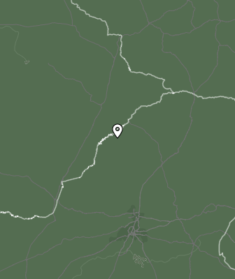 Niederschlagsprognose