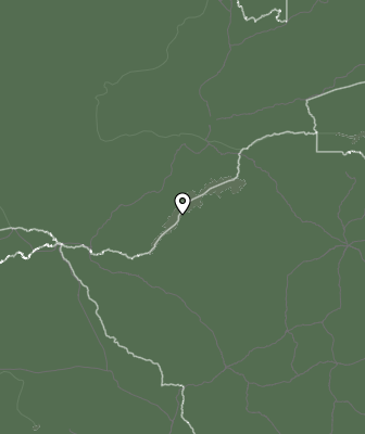 Niederschlagsprognose