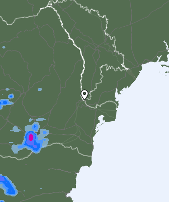 Валежи