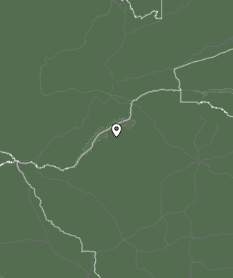Niederschlagsprognose
