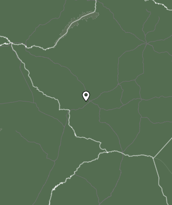 Niederschlagsprognose