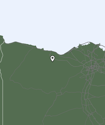 Neerslag