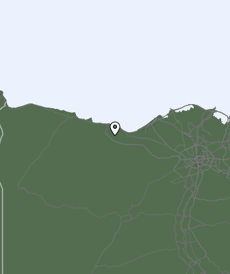 Neerslag