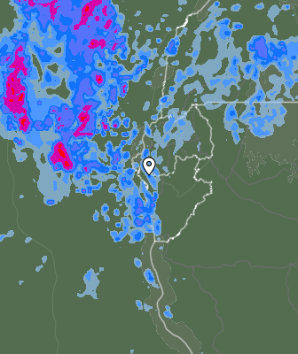 Niederschlagsprognose