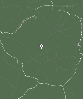 Niederschlagsprognose