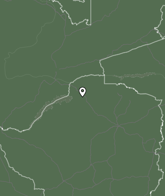 Niederschlagsprognose