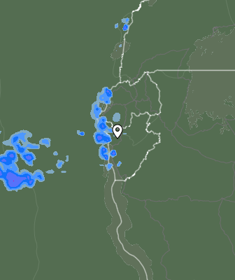 Niederschlagsprognose