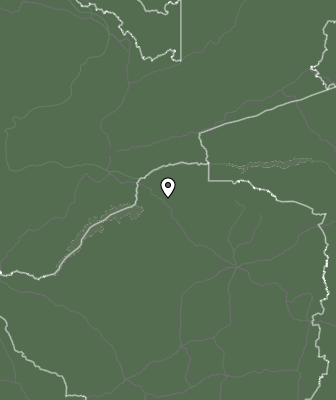 Niederschlagsprognose
