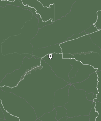 Niederschlagsprognose