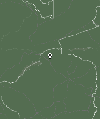 Niederschlagsprognose