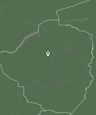 Niederschlagsprognose