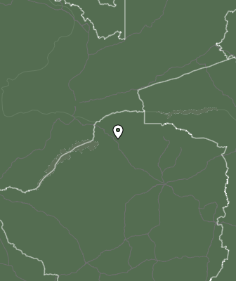 Niederschlagsprognose