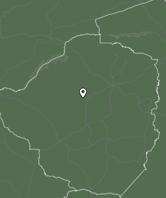 Niederschlagsprognose