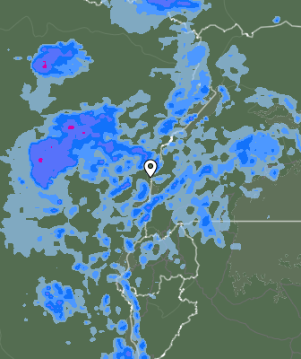 Валежи