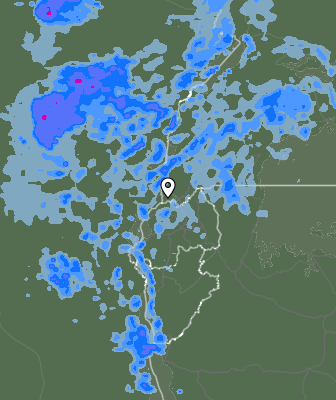 Валежи