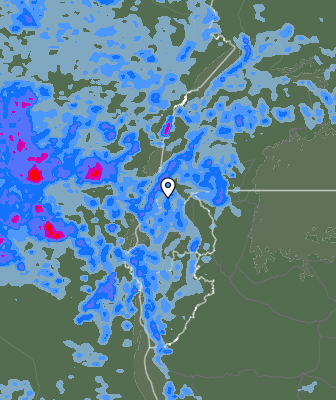 Валежи