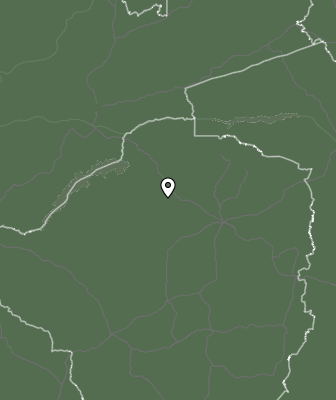 Niederschlagsprognose