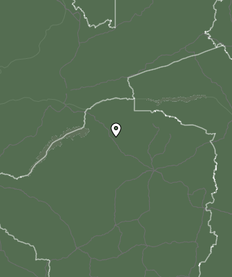 Niederschlagsprognose