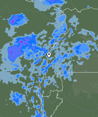 Валежи