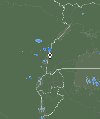 Валежи