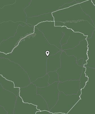 Niederschlagsprognose
