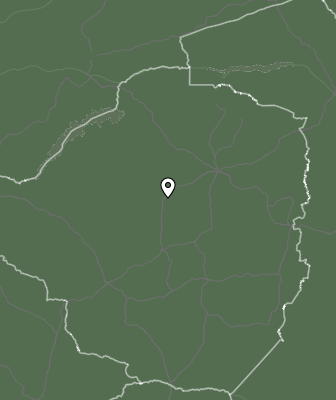 Niederschlagsprognose