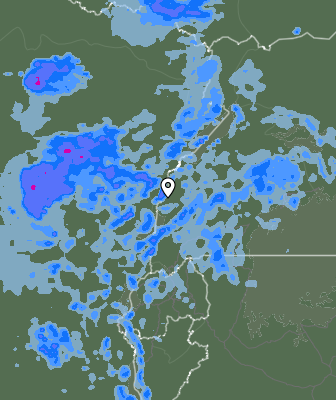 Валежи