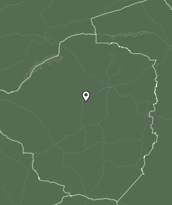 Niederschlagsprognose