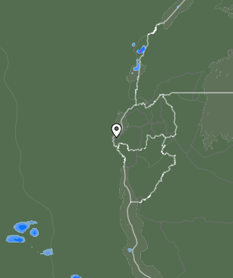 Niederschlagsprognose