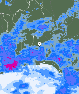 Niederschlagsprognose