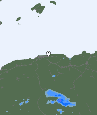 Валежи