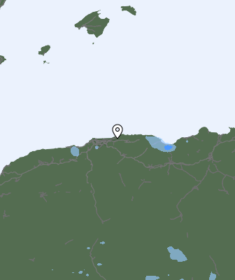 Валежи