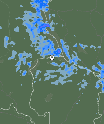 Niederschlagsprognose