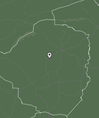 Niederschlagsprognose