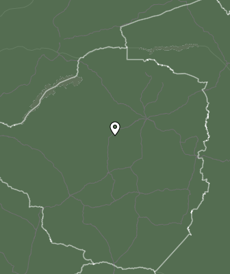 Niederschlagsprognose