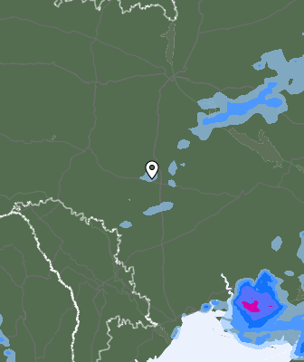 Валежи