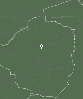 Niederschlagsprognose