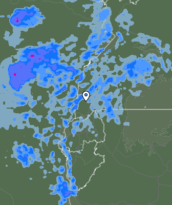 Валежи