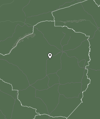Niederschlagsprognose