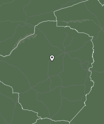 Niederschlagsprognose