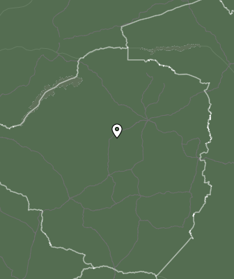 Niederschlagsprognose
