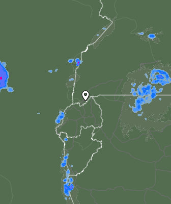 Валежи