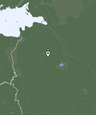 Niederschlagsprognose