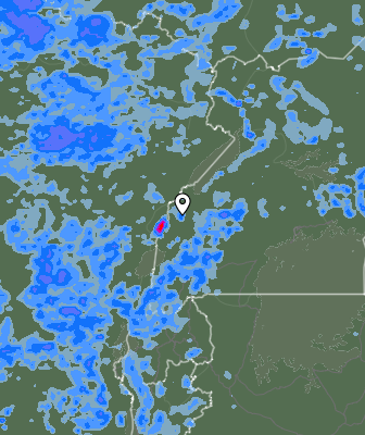Валежи
